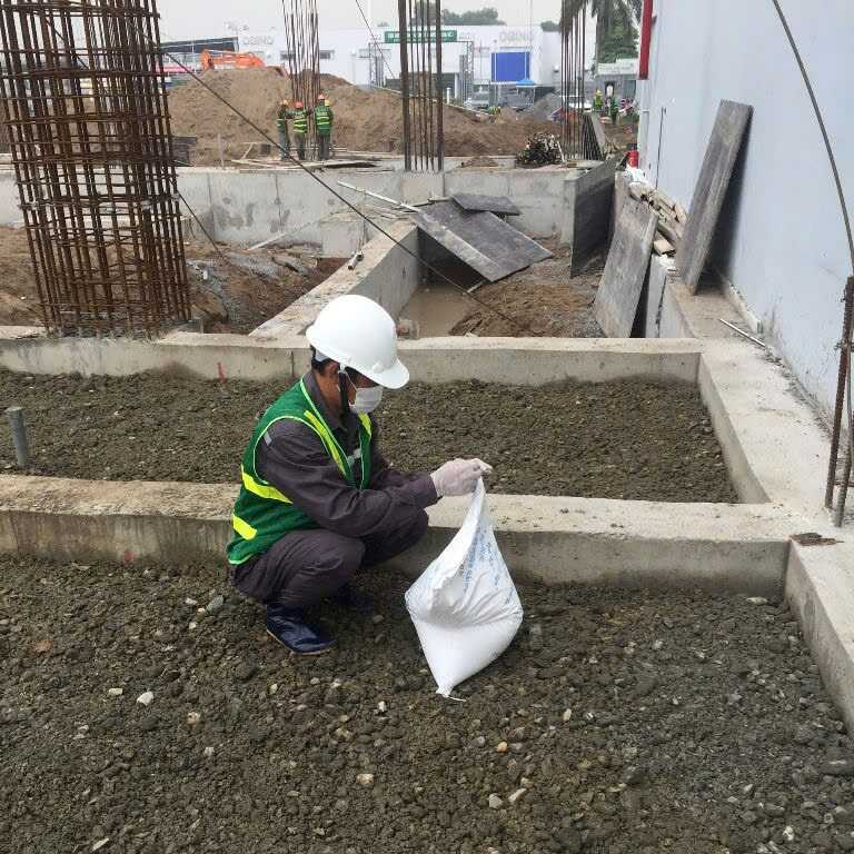 Chống mối công trình